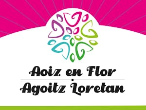 Lee más sobre el artículo Festival «Aoiz en Flor/Agoitz Loretan»